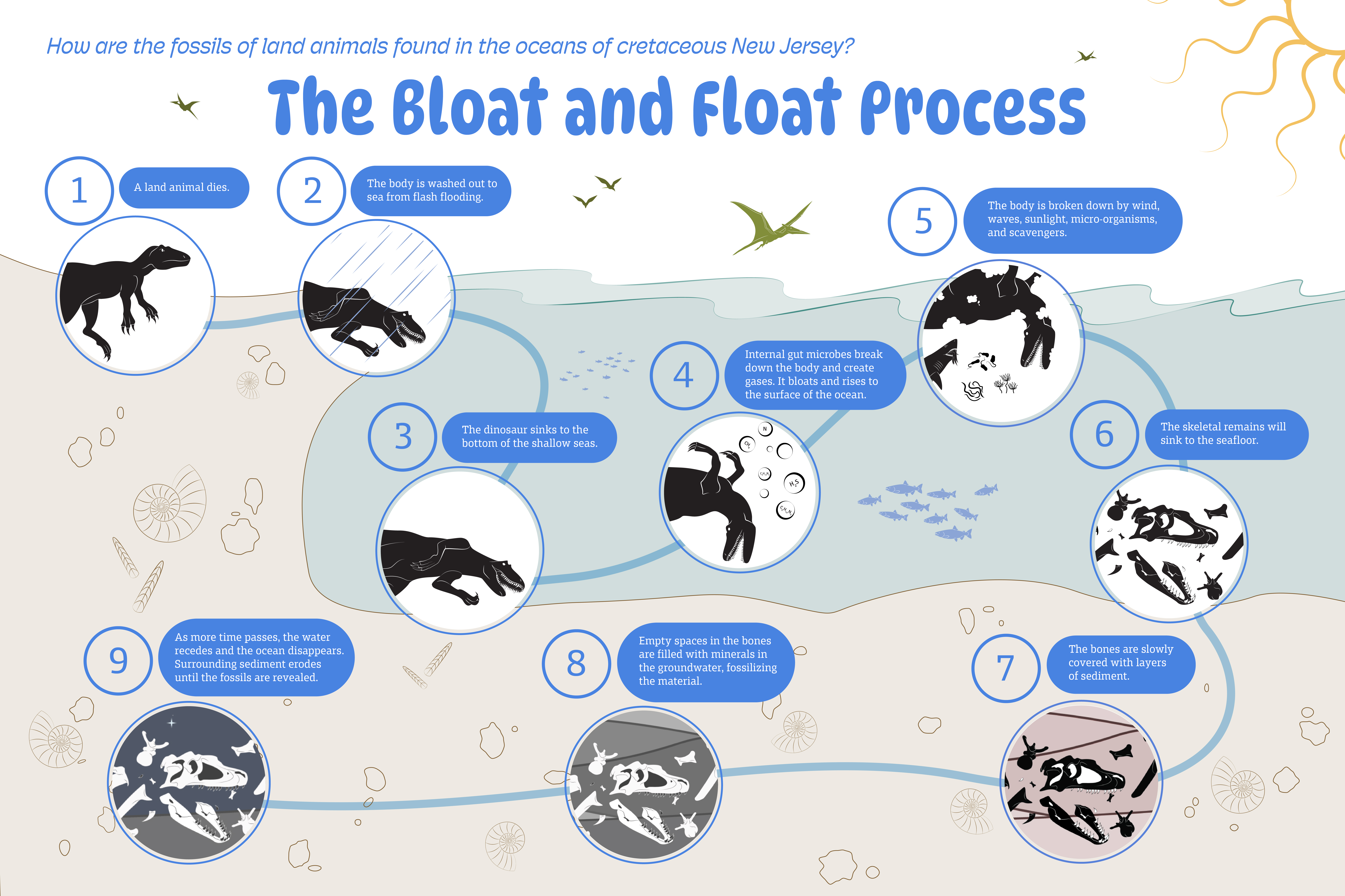 The Bloat and Float Process