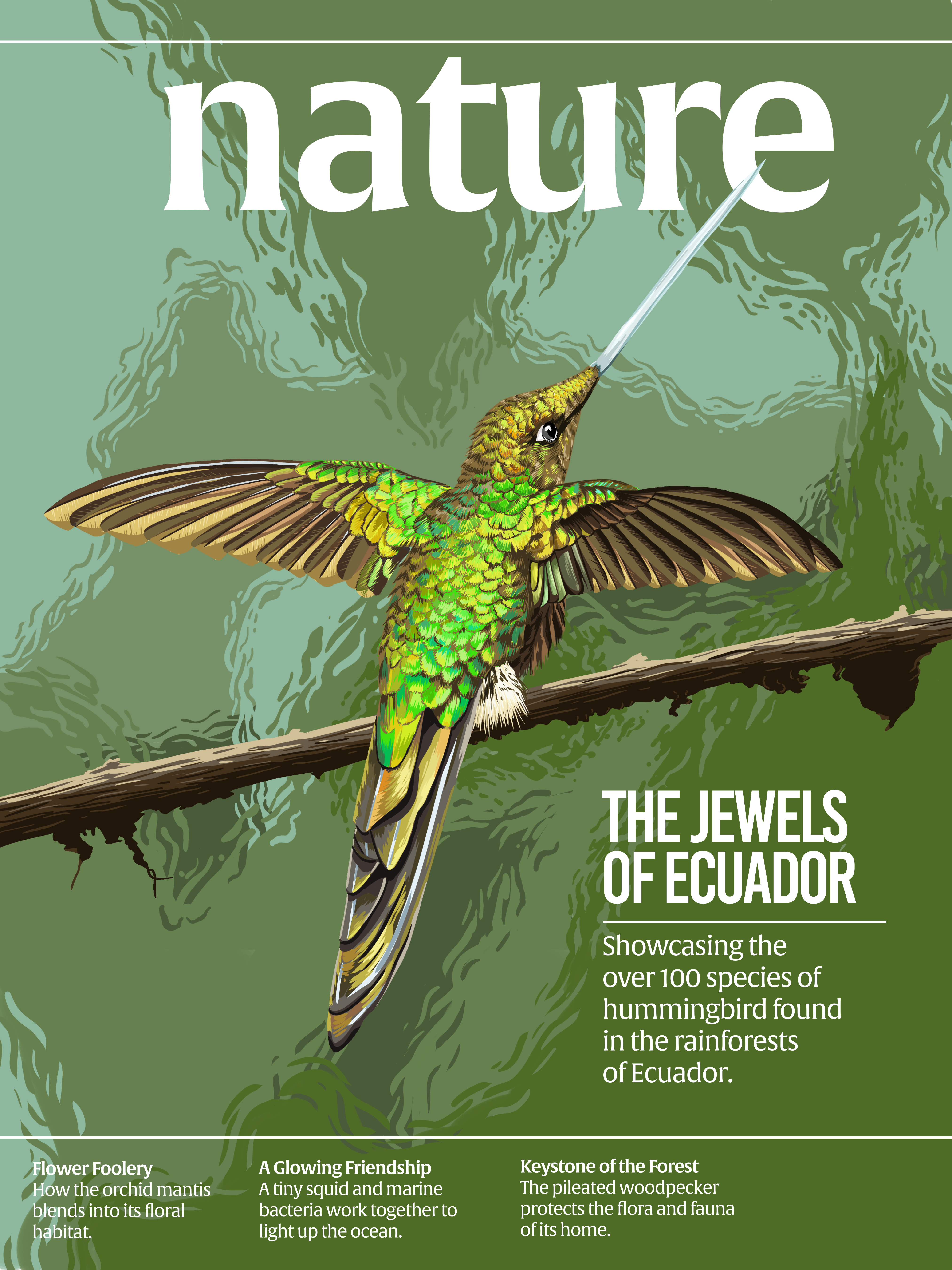 The Jewels of Ecuador (Mock Nature Magazine)