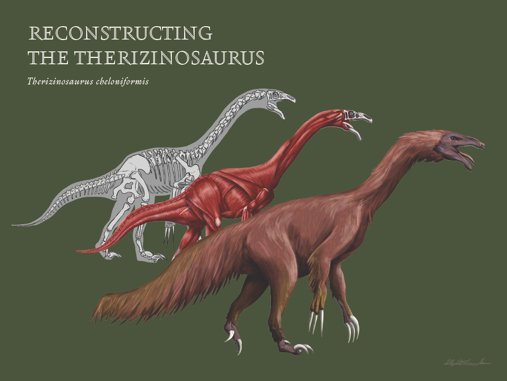 Reconstructing the Therizinosaurus